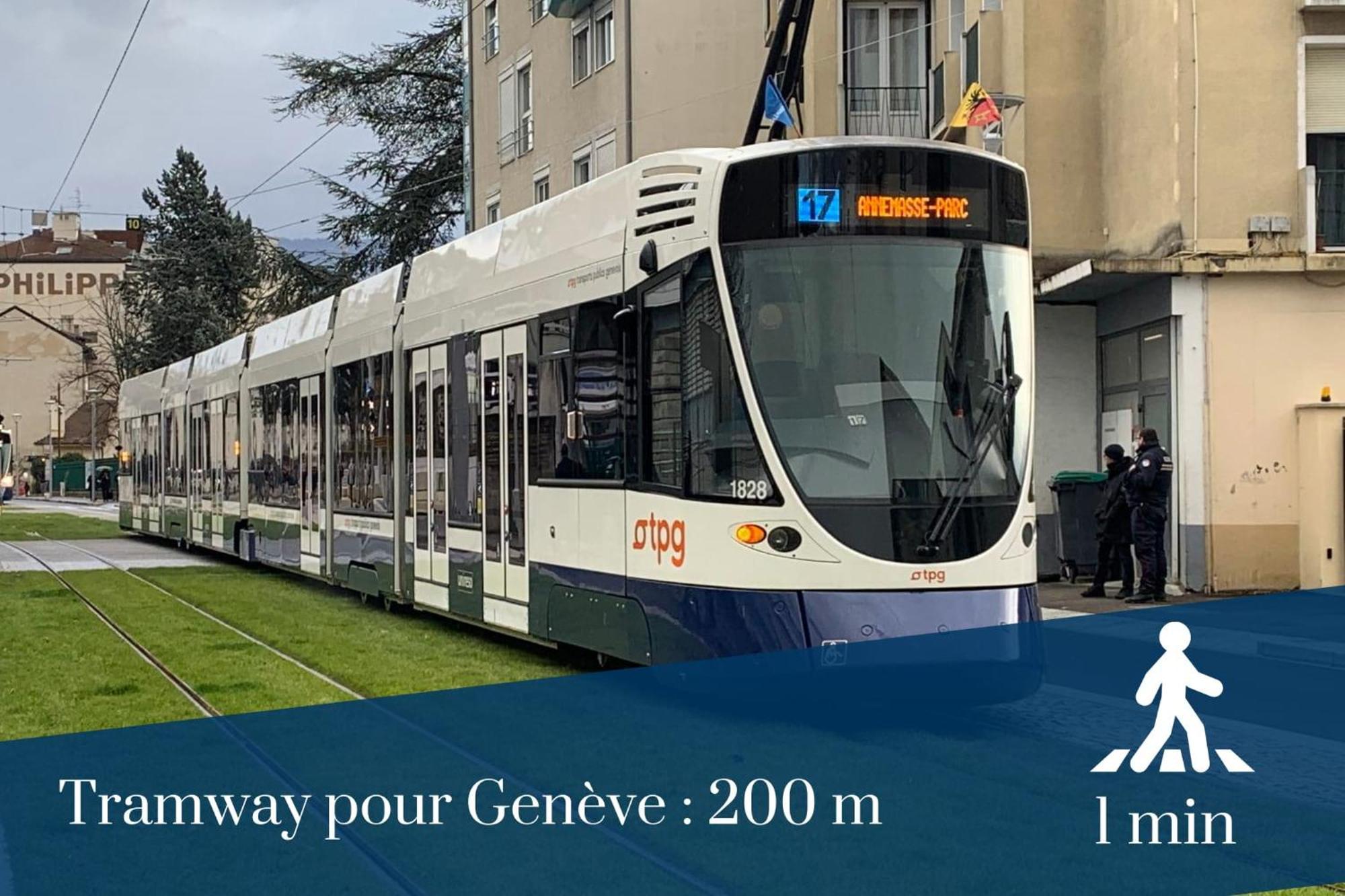 Homey Wild - Proche Gare Et Tram - Proche Centre - Balcon Prive - Parking Prive - Wifi Gratuit Annemasse Exterior foto